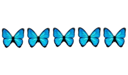🦋 Стикер «Separator» для Telegram