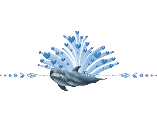 🐋 Стикер «Separator» для Telegram