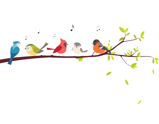 🐧 Стикер «Separator Bird Animal» для Telegram