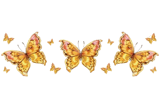 🦋 Стикер «Separator Bird Animal» для Telegram
