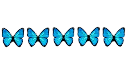 🦋 Стикер «Separator Bird Animal» для Telegram