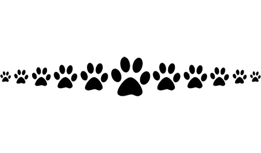 👣 Стикер «Separator Bird Animal» для Telegram