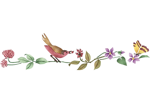 🐧 Стикер «Separator Bird Animal» для Telegram