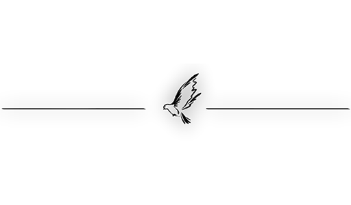 🐧 Стикер «Separator Bird Animal» для Telegram