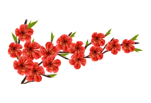 🌺 Стикер «Separator Flower Thick» для Telegram