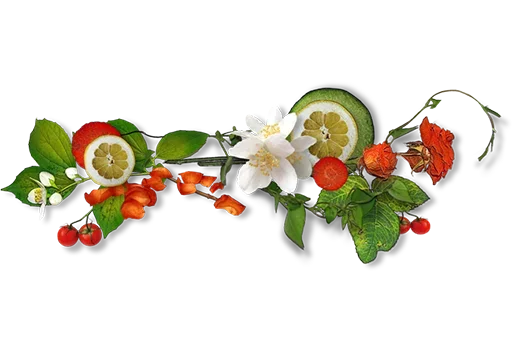 💐 Стикер «Separator Flower Thick» для Telegram
