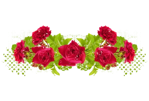 🌹 Стикер «Separator Flower Thick» для Telegram