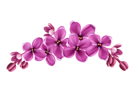 🌸 Стикер «Separator Flower Thick» для Telegram