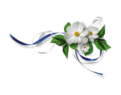 🌸 Стикер «Separator Flower Thick» для Telegram
