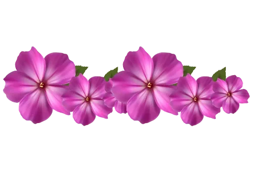 🌺 Стикер «Separator Flower Thick» для Telegram