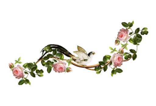 🌹 Стикер «Separator Flower Thick» для Telegram