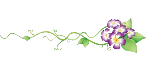 🌸 Стикер «Separator Flower Thin» для Telegram