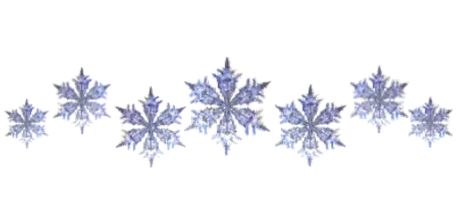 ❄️ Стикер «Separator Flower Thin» для Telegram