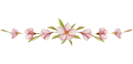 🌸 Стикер «Separator Flower Thin» для Telegram