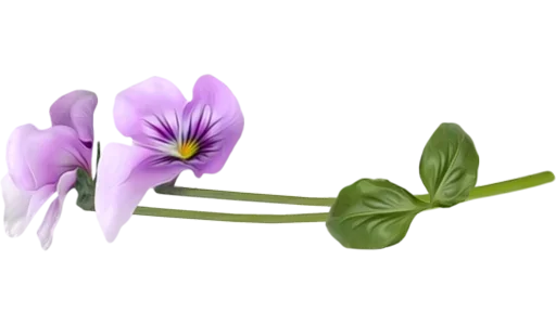 🌸 Стикер «Separator Flower Thin» для Telegram