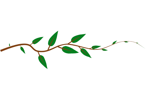 🌿 Стикер «Separator Flower Thin» для Telegram