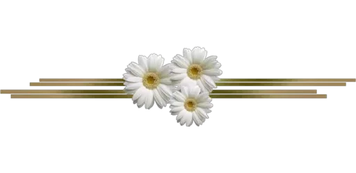 🌸 Стикер «Separator Flower Thin» для Telegram