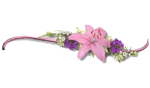 🌸 Стикер «Separator Flower Thin» для Telegram