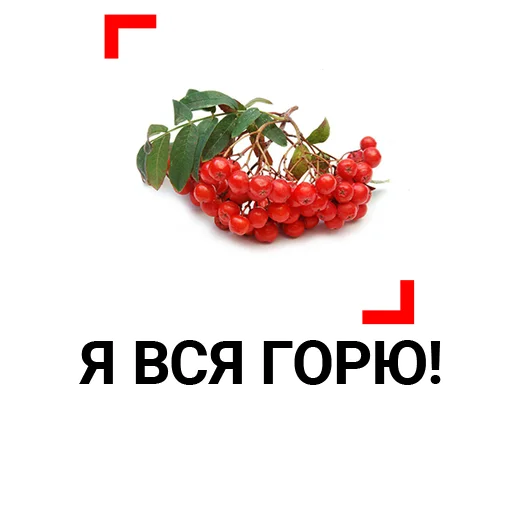 🔥 Стикер «3 сентября. LIFE SHOT» для Telegram