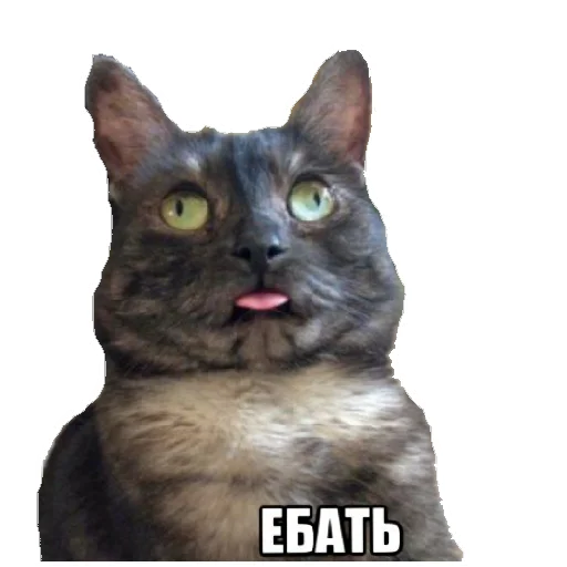 😜 Стикер «Dereven&;ka» для Telegram