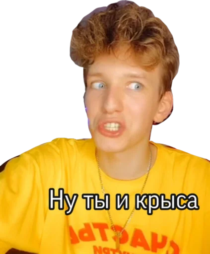 🐭 Стикер «Король тиктапка» для Telegram