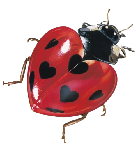 🐞 Стикер «Heartz» для Telegram