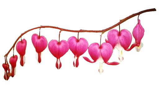 💕 Стикер «Heartz» для Telegram