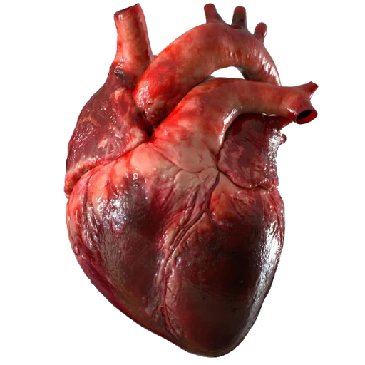 ❤️ Стикер «Heartz» для Telegram