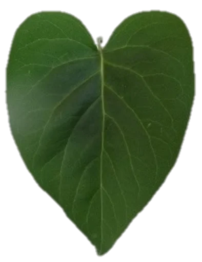💚 Стикер «Heartz» для Telegram