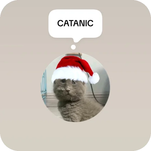 👍 Стикер «Серый котик» для Telegram
