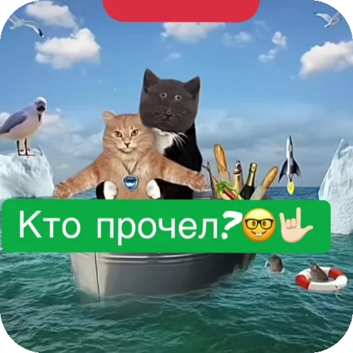 👍 Стикер «Серый котик» для Telegram