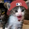 Стикер 32 Paired Cats