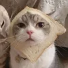 Стикер 54 Paired Cats
