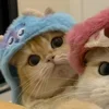 Стикер 55 Paired Cats