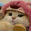 Стикер 56 Paired Cats
