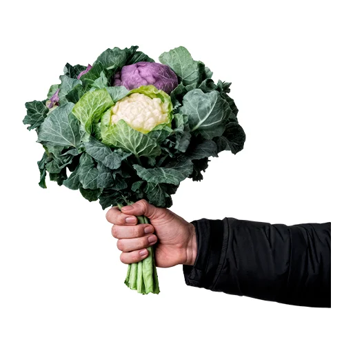 💐 Стикер «Сеструха» для Telegram