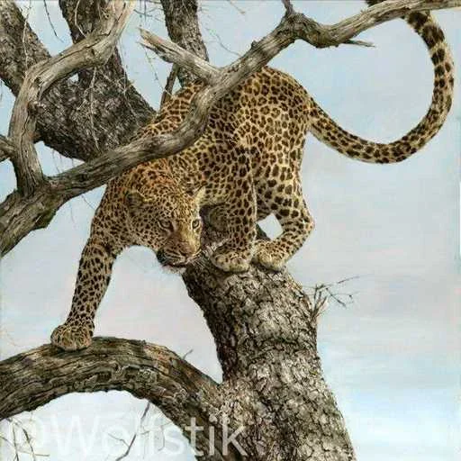 🔥 Стикер «Leopard» для Telegram