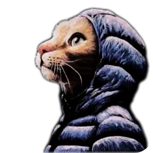 🐱 Стикер «Эстетичные настроения» для Telegram
