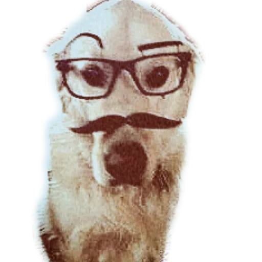 🐶 Стикер «Эстетичные настроения» для Telegram