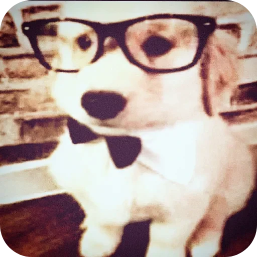 🐶 Стикер «Эстетичные настроения» для Telegram