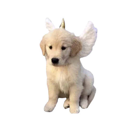 🐕 Стикер «Нежные милые стикеры» для Telegram