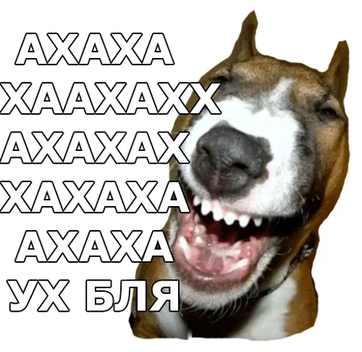 😀 Стикер «Смешные собаки» для Telegram
