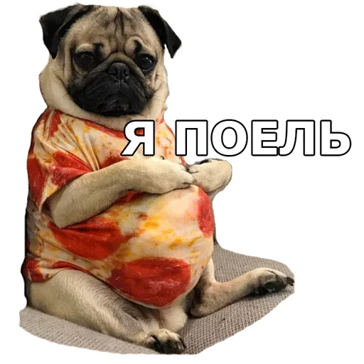 🍗 Стикер «Смешные собаки» для Telegram