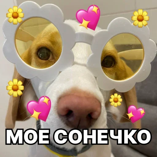 💖 Стикер «Смешные собаки» для Telegram