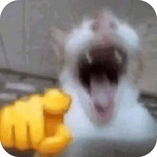 😝 Стикер «Русские мемные реакции» для Telegram