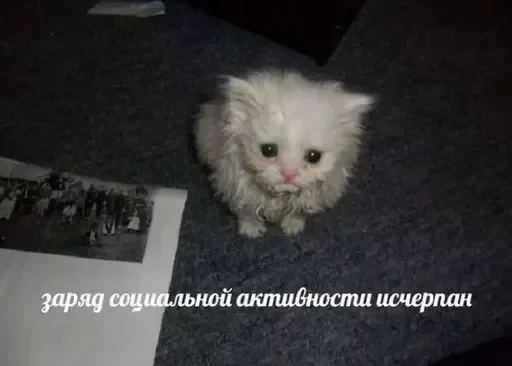 😪 Стикер «Русские мемные реакции» для Telegram