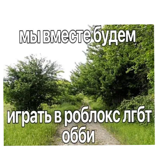 🖼 Стикер «Лесные летние мемы» для Telegram