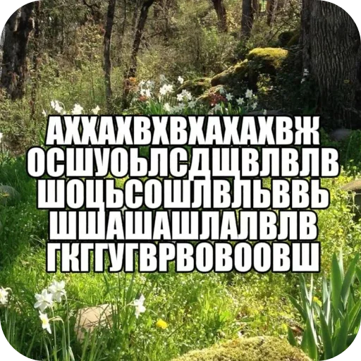 🌲 Стикер «Лесные летние мемы» для Telegram