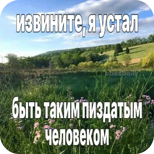 🌌 Стикер «Лесные летние мемы» для Telegram