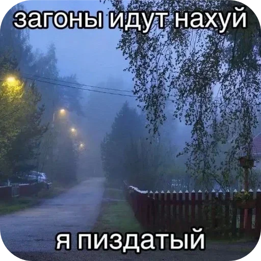 🌌 Стикер «Лесные летние мемы» для Telegram